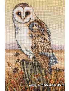 Owl Horizon
